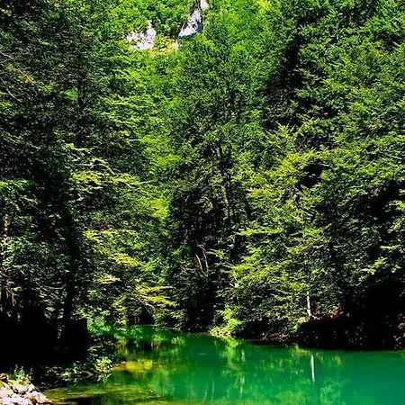 Appartement Resman Trsce