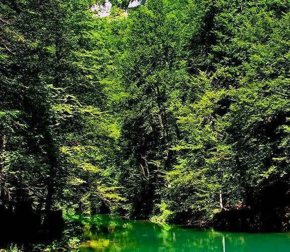 Apartamento Resman Trsce